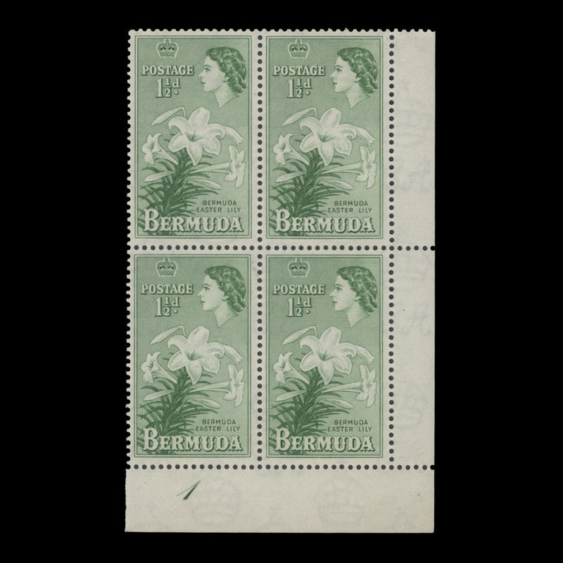 Bermuda 1953 (MNH) 1½d Easter Lily plate 1 block