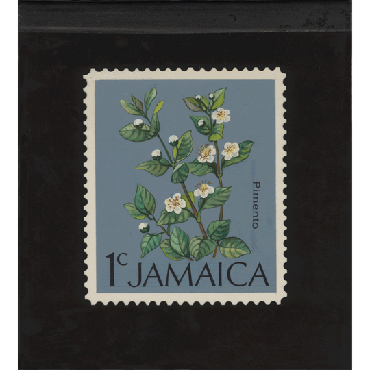 Jamaica 1972 Pimento watercolour essay