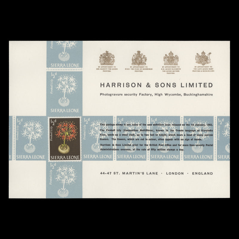 Sierra Leone 1963 (Unused) ½d Fireball Lily presentation card