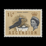 Ascension 1963 (Variety) 1½d Black Noddy missing cobalt