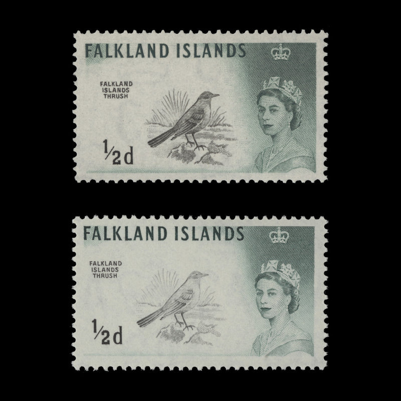 Falkland Islands 1962 (MNH) ½d Austral Thrush, DLR