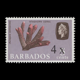Barbados 1970 (MNH) 4c/5c Staghorn Coral single with X flaw
