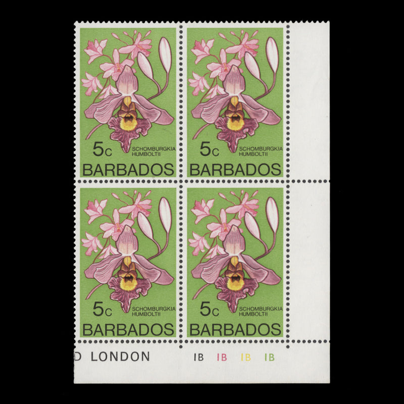 Barbados 1977 (MNH) 5c Schoburgkia Humboltii plate block