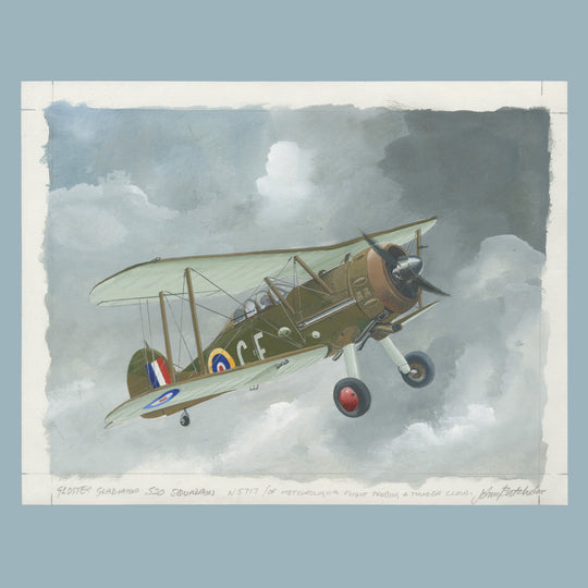 Gibraltar 2012 RAF Squadrons artwork signed by John Batchelor