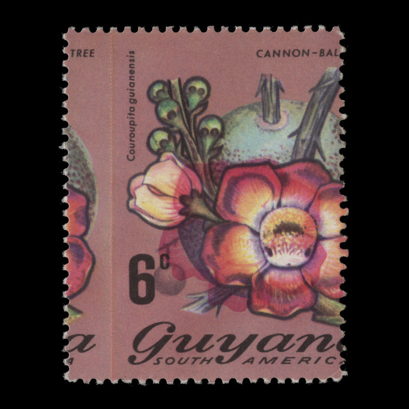 Guyana 1971 (Variety) 6c Cannon-Ball Tree perf shift