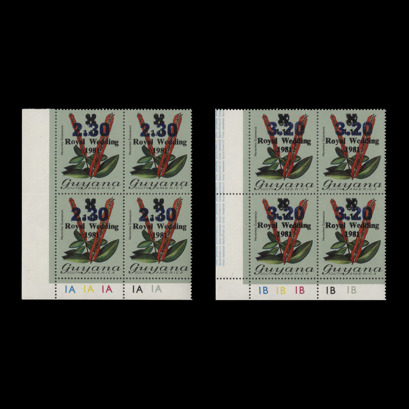 Guyana 1983 (MNH) Norantea Guianensis plate blocks