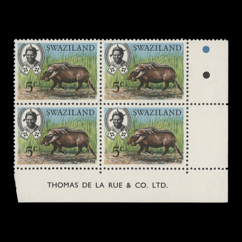 Swaziland 1969 (MNH) 5c Bush Pig imprint block, matt cream paper