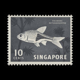Singapore 1962 (Error) 10c Harlequinfish missing red-orange