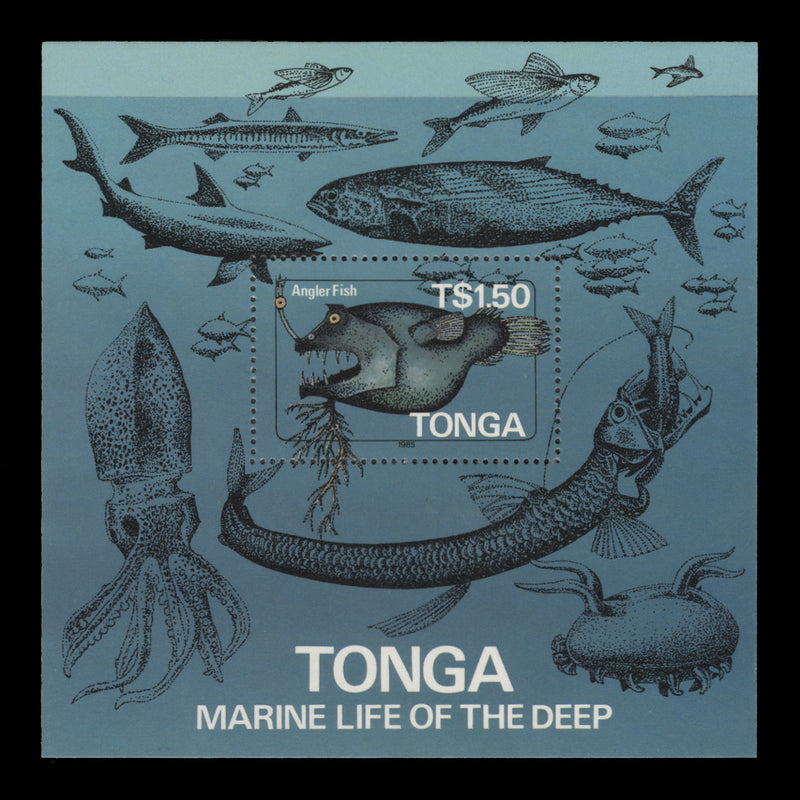 Tonga 1985 (MNH) Geological Survey miniature sheet, perf 14 x 14
