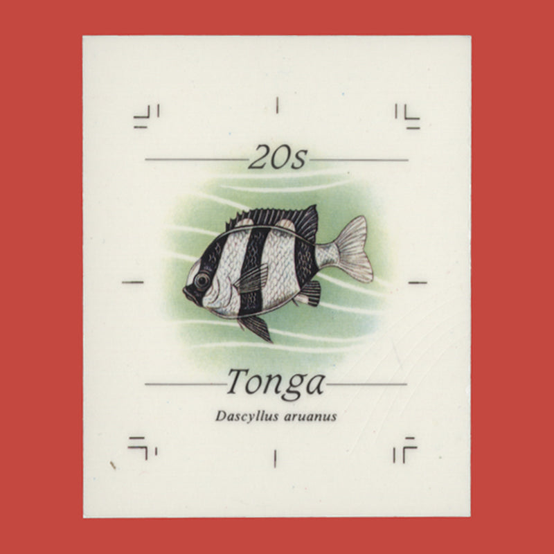 Tonga 1984 20s White-Tailed Dascyllus cromalin proof