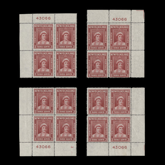 Newfoundland 1941 (MLH) 3c Queen Elizabeth plate 43066 blocks