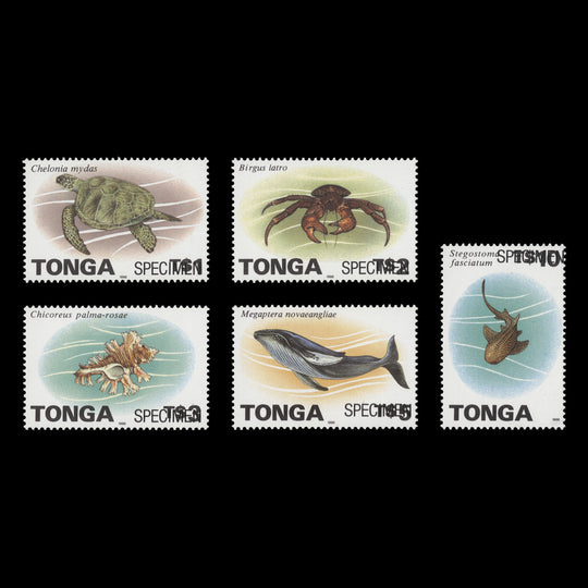 Tonga 1996 (MNH) Marine Life redrawn SPECIMEN definitives, inscriptions at top