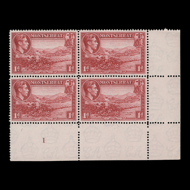 Montserrat 1942 (MNH) 1d Sea Island Cotton plate 1 block, perf 14 x 14