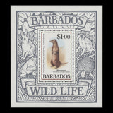 Barbados 1989 (MNH) Wildlife Preservation set and miniature sheet