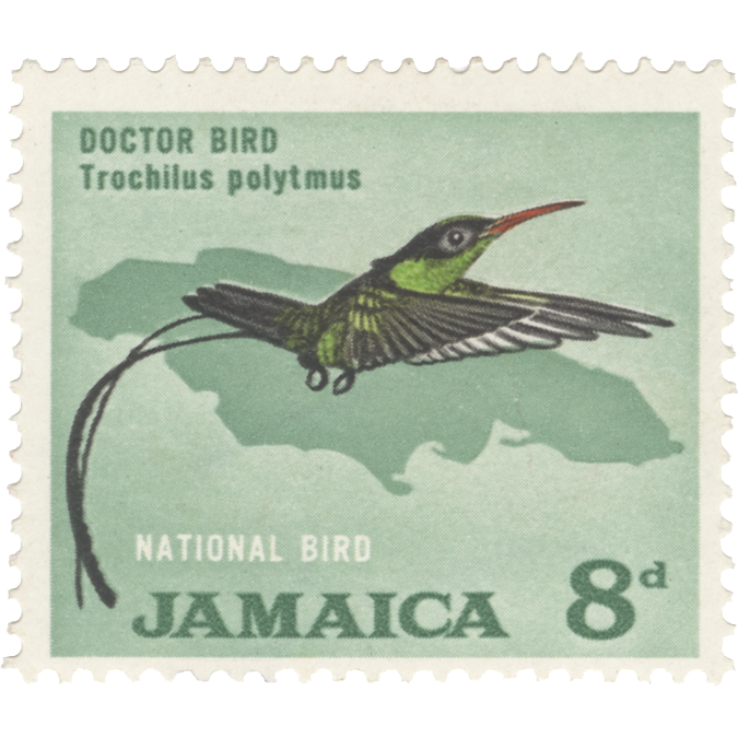 Jamaica 1964 (Proof) 8d Doctor Bird imperf colour trial