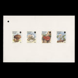 Solomon Islands 1984 (Proof) Fungi presentation folder
