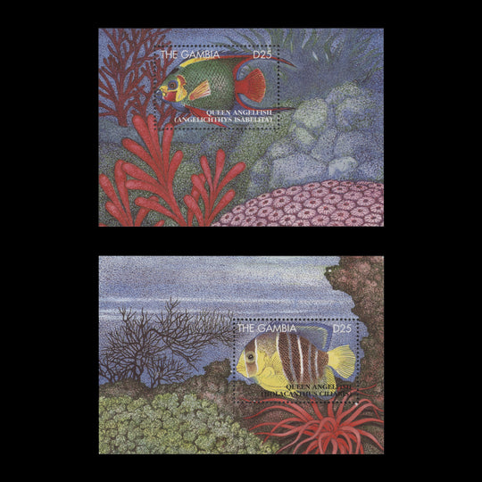 Gambia 1995 (MNH) D25 Queen Angelfish miniature sheets
