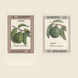 Bangladesh 1990 (Essay) 2t Guava, perf 12½ x 12½