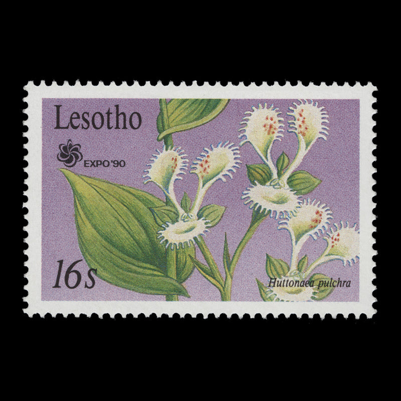 Lesotho 1990 Local Orchids imperf proofs in presentation folder