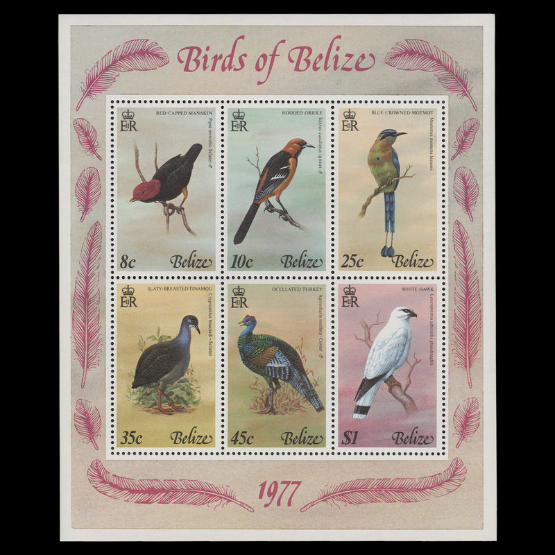 Belize 1977 (MNH) Birds miniature sheet