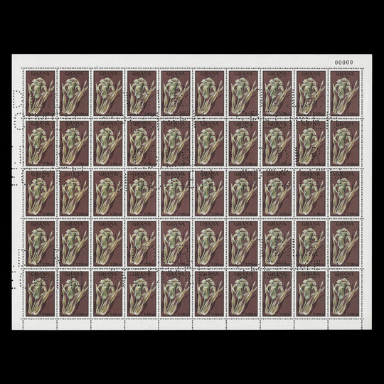 Ghana 1991 (MNH) C200 Dipcadi Tacazzeanum sheet with SPECIMEN perfin