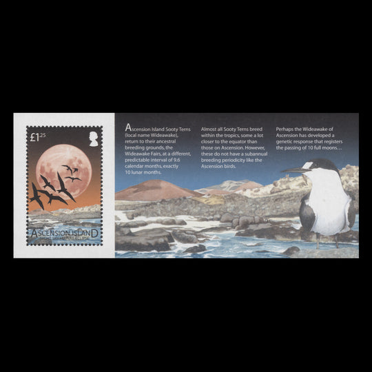Ascension 2004 (MNH) Lunar Eclipse miniature sheet