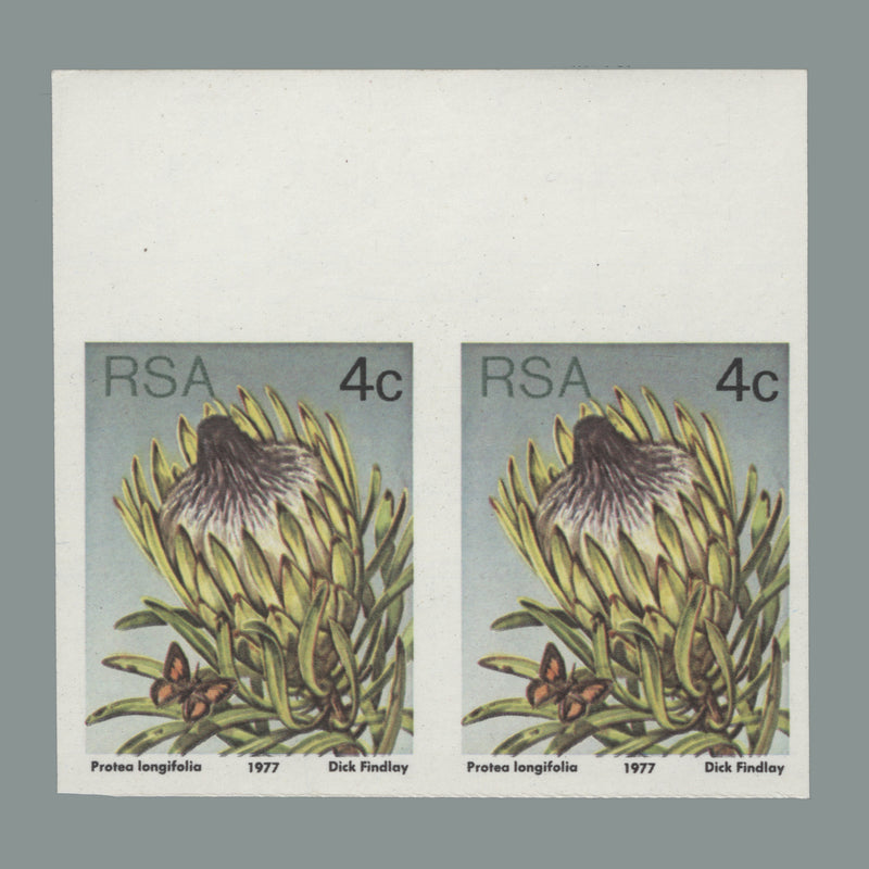 South Africa 1977 (Error) 4c Protea Longifolia imperf pair. SG417a
