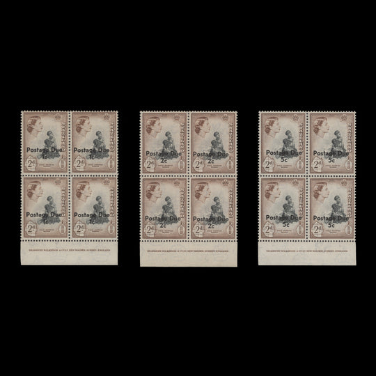 Swaziland 1961 (MNH) Provisional Decimal Postage Dues imprint blocks, type II