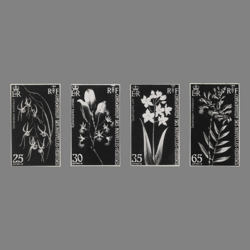 Nouvelles Hebrides 1973 Orchids photographic proofs