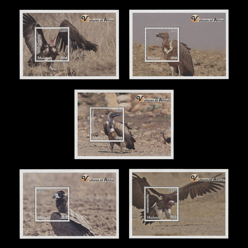 Malawi 2018 (MNH) K450 Vultures miniature sheets