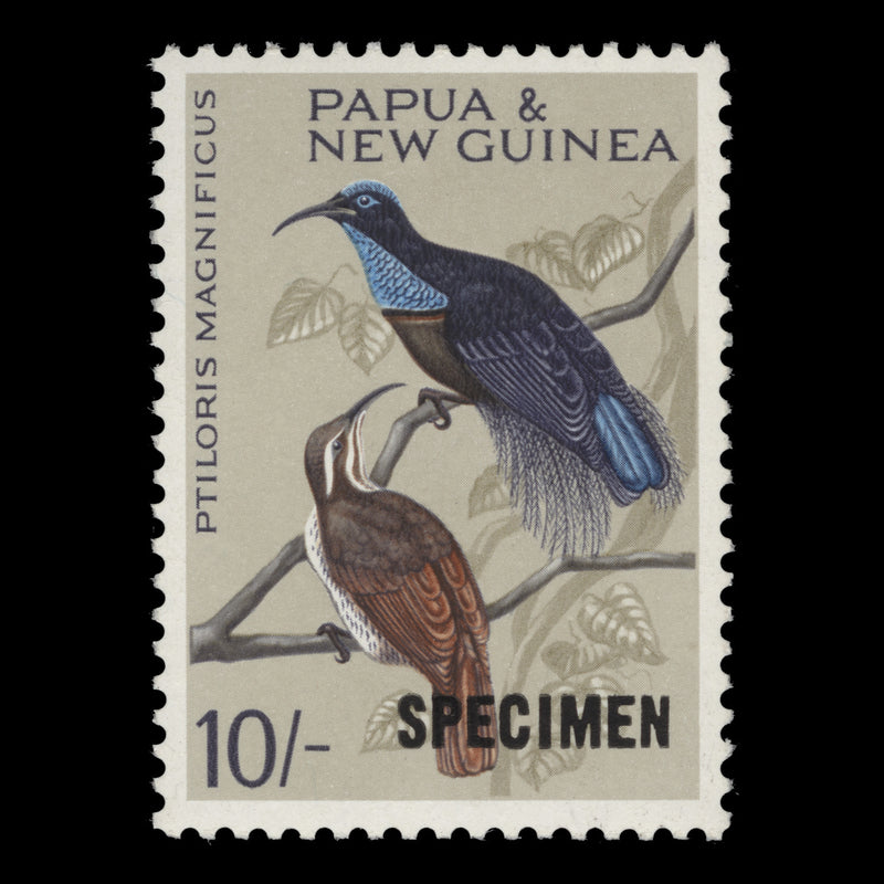 Papua New Guinea 1964 (MNH) 10s Magnificent Riflebird with SPECIMEN overprint