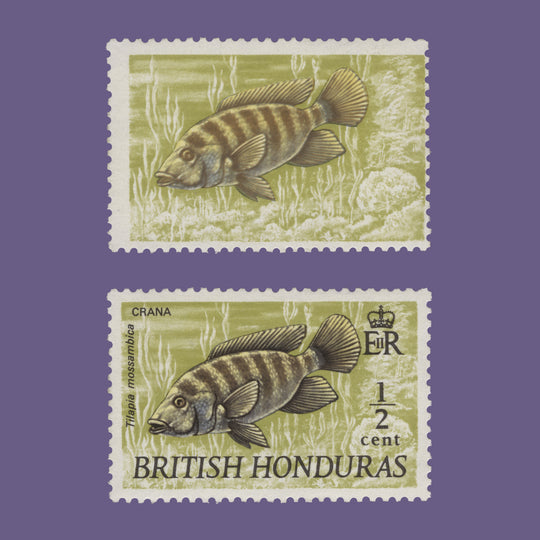 British Honduras 1971 (Variety) ½c Crana missing black