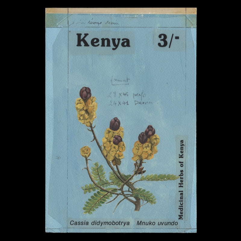 Kenya 1987 Medicinal Plants, Cassia Didymobotrya watercolour artwork