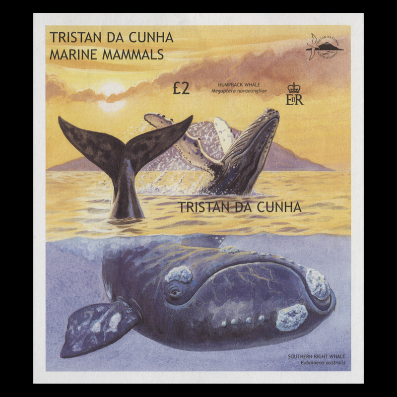 Tristan da Cunha 2002 (Variety) £2 Marine Mammals imperf miniature sheet