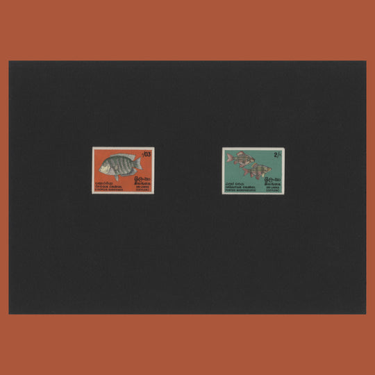 Sri Lanka 1972 Fishes watercolour essays by Dharmasiri Kariyawasam