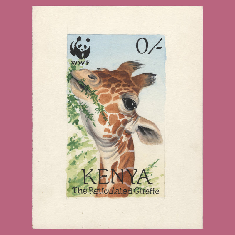Kenya 1989 WWF Giraffe Eating watercolour essay by Doreen McGuinness