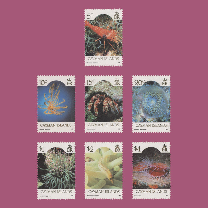 Cayman Islands 1987 (MNH) Marine Life definitives with '1987' imprint