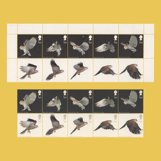 Great Britain 2003 (Variety) Birds of Prey block missing brownish grey and phosphor
