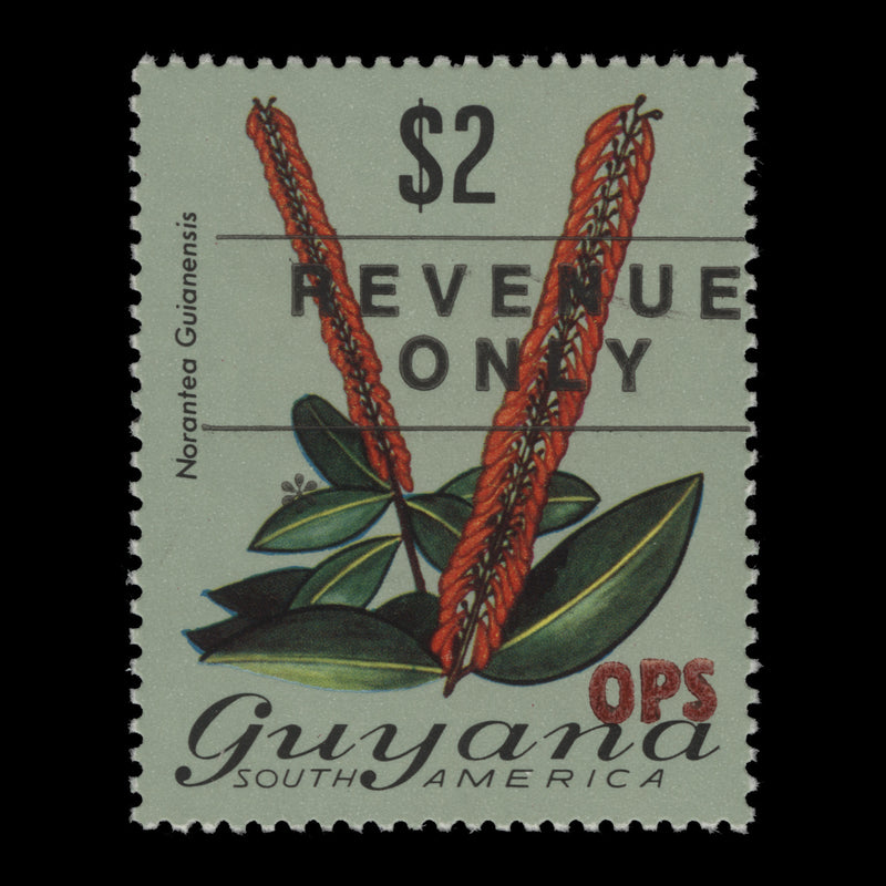 Guyana 1982 (MNH) $2 Norantea Guianensis official