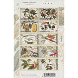 Singapore 2002 (MNH) Natural History Drawings sheetlets