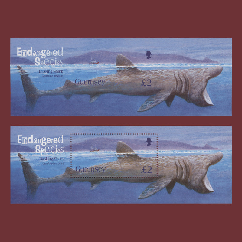 Guernsey 2005 (Variety) £2 Basking shark imperf miniature sheet