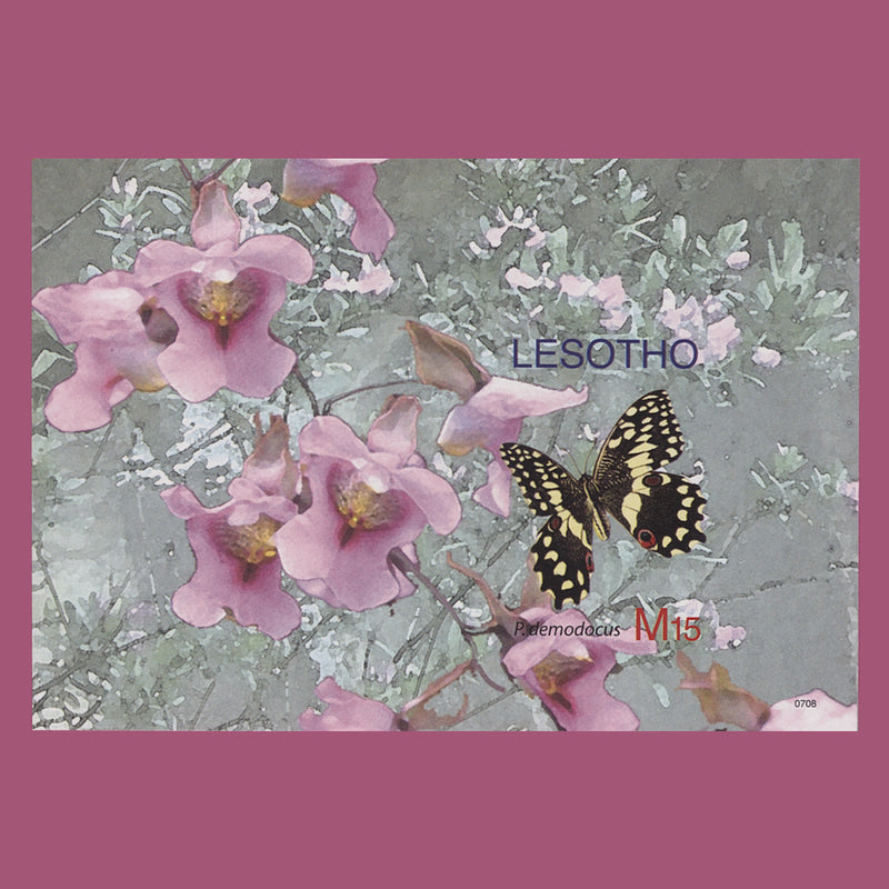Lesotho 2007 (Variety) M15 Papilio Demodocus imperf miniature sheet