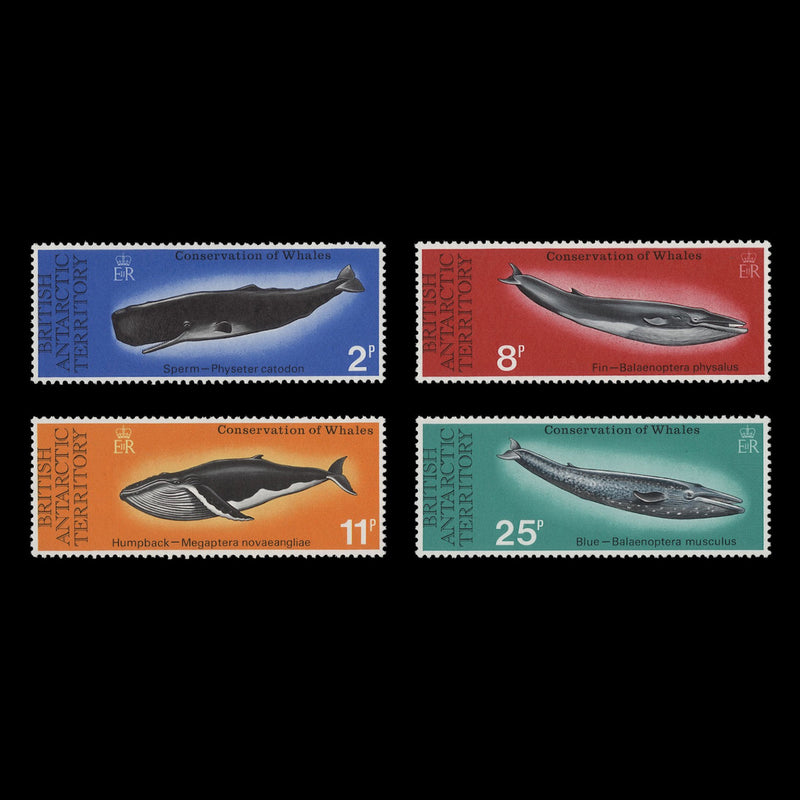 British Antarctic Territory 1977 (MNH) Whale Conservation