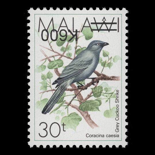 Malawi 2017 (Variety) K600/30t Grey Cuckoo Shrike with inverted surcharge