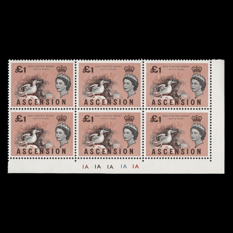 Ascension 1963 (MNH) £1 Red-Footed Booby plate block