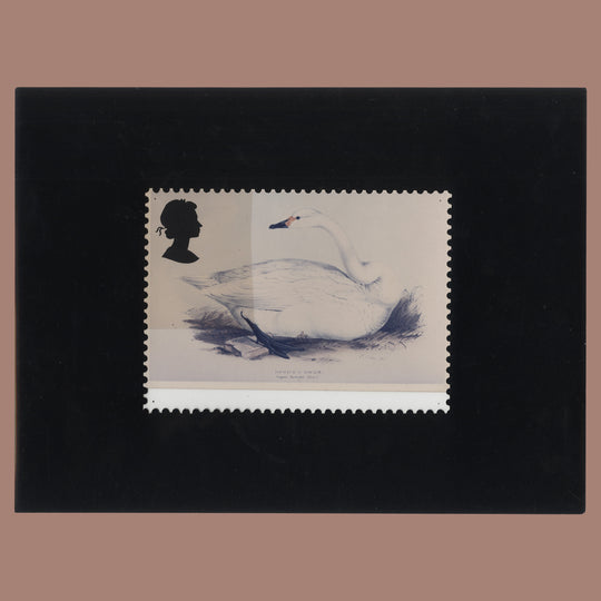 Great Britain 1988 Bewick's Swan composite essay by Ted Hughes