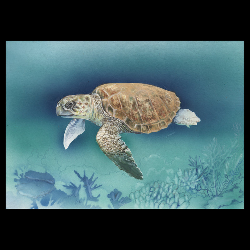 Kenya 2000 Loggerhead Turtle watercolor artwork by Tilla Visser