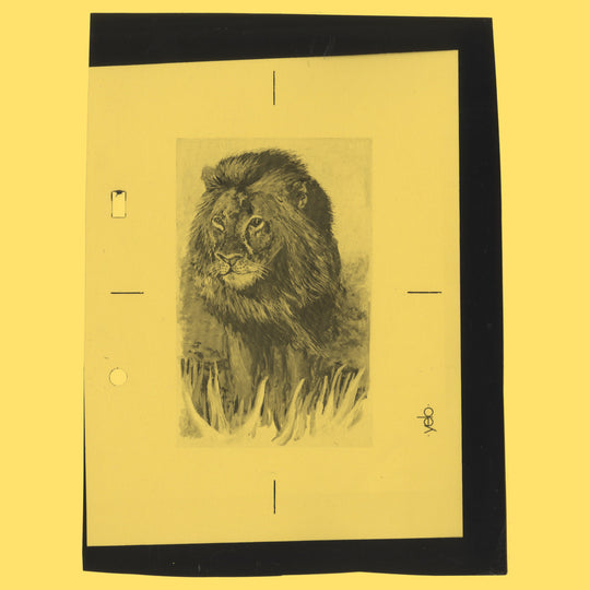 Kenya 1992 Lion colour separation proofs with unadopted value