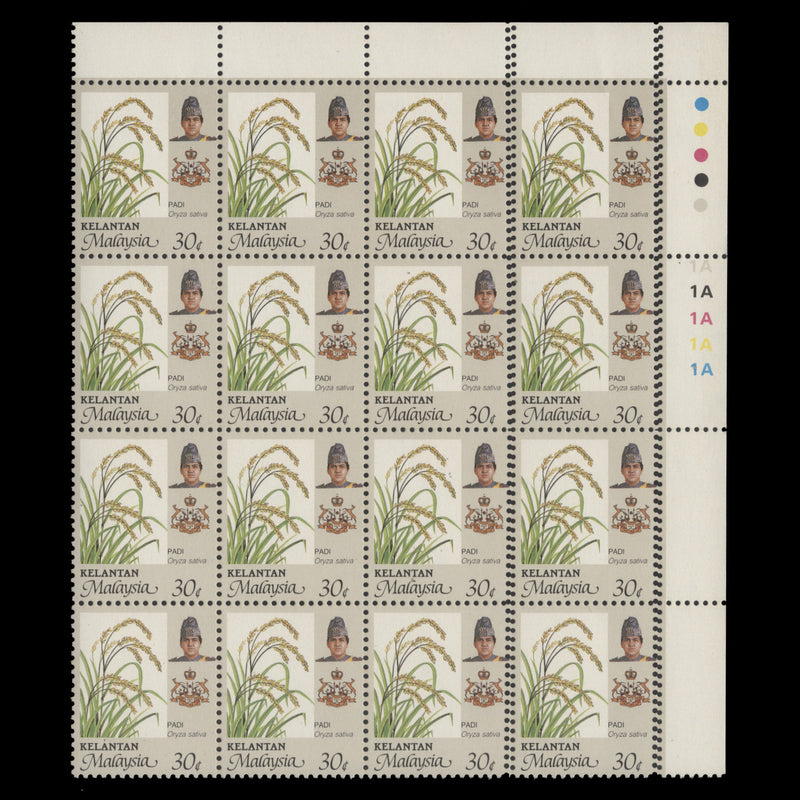 Kelantan 1986 (Variety) 30c Rice plate 1A block with extra perf strikes