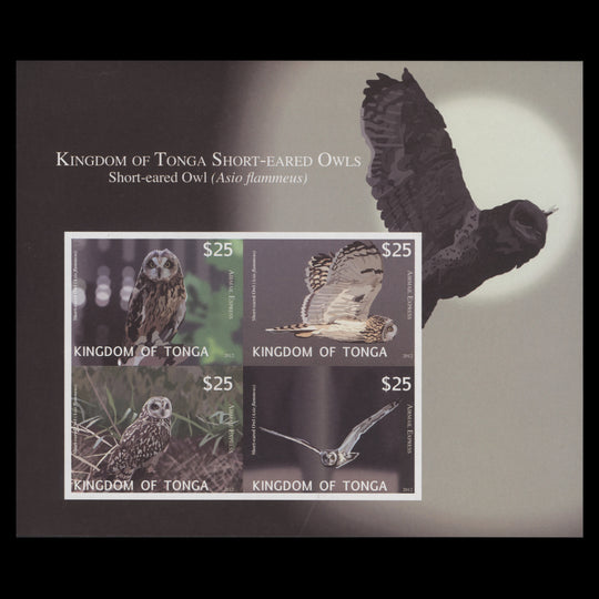 Tonga 2012 Short-Eared Owls imperf proof miniature sheet